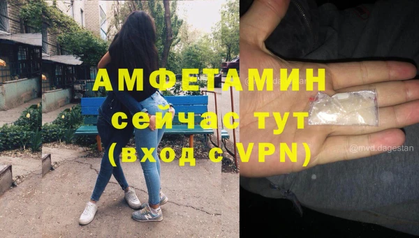 ПСИЛОЦИБИНОВЫЕ ГРИБЫ Балабаново