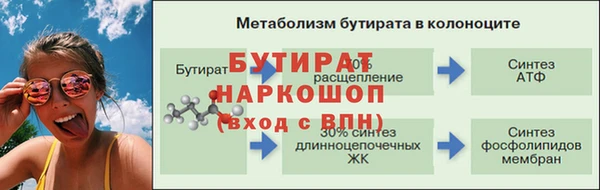 сатива Баксан