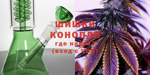 ПСИЛОЦИБИНОВЫЕ ГРИБЫ Балабаново