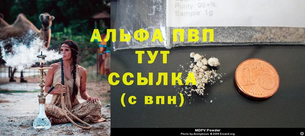 сатива Баксан