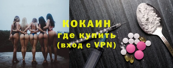 сатива Баксан