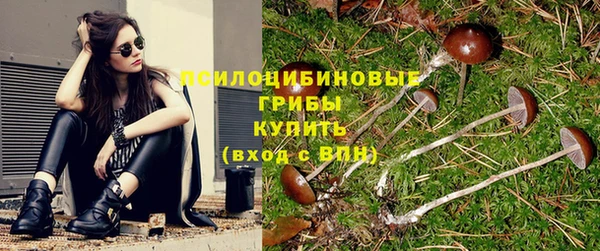 ПСИЛОЦИБИНОВЫЕ ГРИБЫ Балабаново