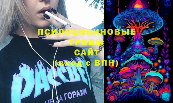 ПСИЛОЦИБИНОВЫЕ ГРИБЫ Балабаново